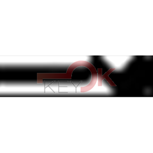 ERREBI - GG39* - GAMMA DI SERVIZIO ESTERO - 03S-OTT