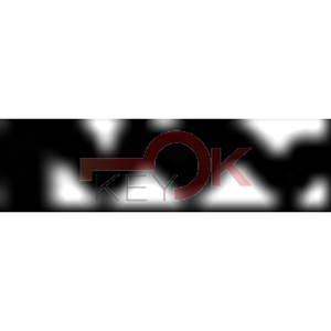 ERREBI - GG42 - MULTIPROF. E PASS ESTERO - 05B-OTT