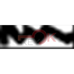 ERREBI - GG43 - MULTIPROF. E PASS ESTERO - 05B-OTT