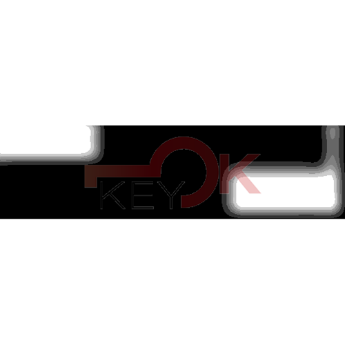 ERREBI - GM22P104* - AUTO SPECIALI U.S.A TESTA PLAST. - 21F-OTT