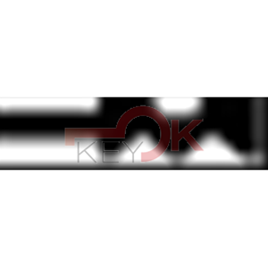 ERREBI - GO8 - PROFILI ESTERO - 03A-ACC