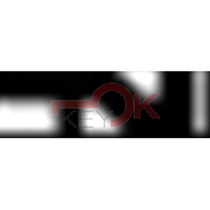 ERREBI - GU4R* - GAMMA DI SERVIZIO NAZIONALE - 02S-OTT