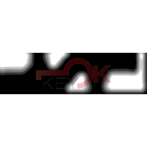 ERREBI - HF36P25 - GAMMA DI SERVIZIO AUTO TESTA PLAST. - 20S-ACC