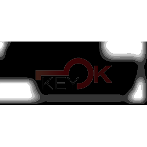 ERREBI - HF42C1 - INSERTI AUTO SPECIALI - 18G-ALP