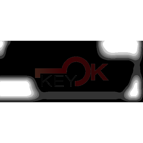 ERREBI - HF42P15* - AUTO SPECIALI ACCIAIO-OTTONE TESTA PLAST. - 21B-OTT