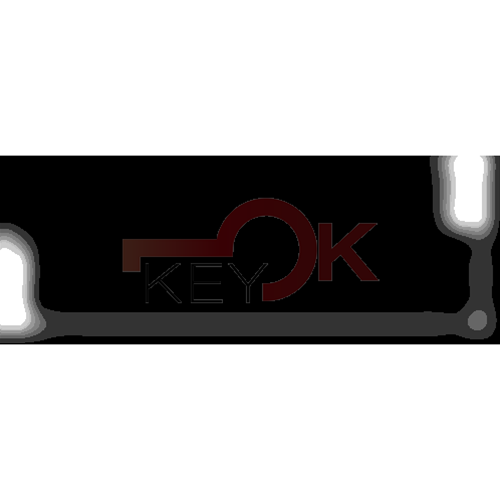 ERREBI - HF55C1 - INSERTI AUTO SPECIALI - 18G-ALP