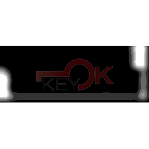 ERREBI - HF55C2 - INSERTI AUTO SPECIALI - 18G-ALP