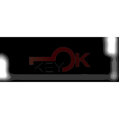 ERREBI - HF55C2 - INSERTI AUTO SPECIALI - 18G-ALP