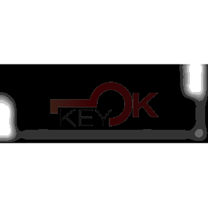 ERREBI - HF55C4 - INSERTI AUTO SPECIALI - 18G-ALP