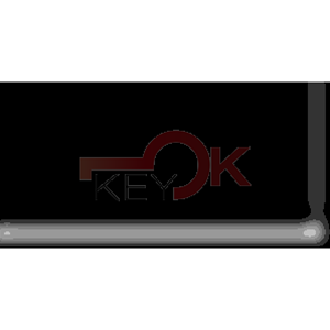 ERREBI - HF59P150. - AUTO SPECIALI ALPACCA TESTA PLAST. - 21A-ALP