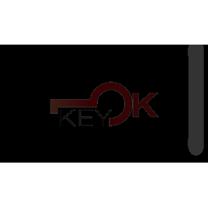 ERREBI - HF65C1 - INSERTI AUTO SPECIALI - 18G-ALP