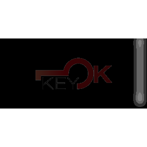 ERREBI - HF65C2 - INSERTI AUTO SPECIALI - 18G-ALP