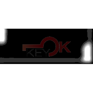 ERREBI - HF70P171 - AUTO SPECIALI ACCIAIO-OTTONE TESTA PLAST. - 21B-OTT