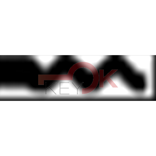 ERREBI - HTV2R* - GAMMA DI SERVIZIO ESTERO - 03S-OTT