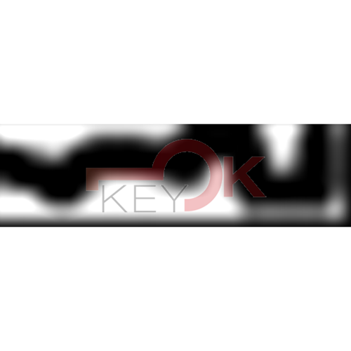 ERREBI - JPM1 - PROFILI ESTERO - 03A-ACC