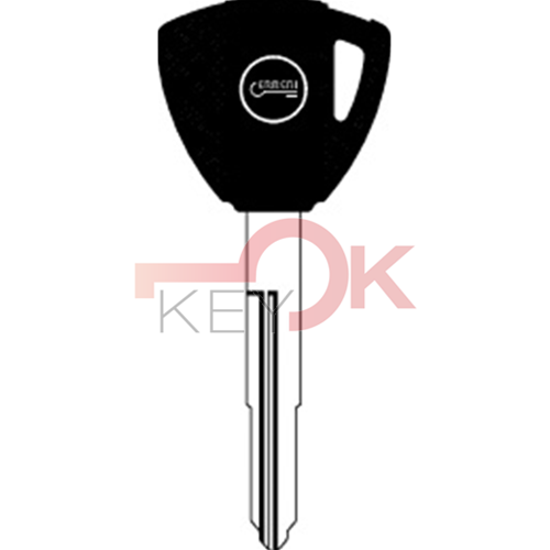 ERREBI - T00SZ16RP* - AUTO SENZA TRANSPONDER - 23A-OTT