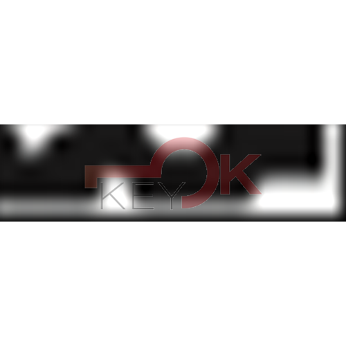 ERREBI - KFL* - MULTIPROF. E PASS ESTERO - 05B-OTT