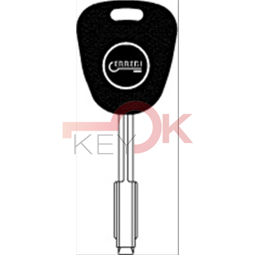 ERREBI - T00TB2P* - AUTO SPECIALI SENZA TRANSPONDER - 23S-ALP