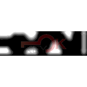 ERREBI - KS03* - MULTIPROF. E PASS ESTERO - 05B-OTT