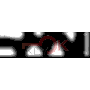 ERREBI - KS05* - MULTIPROF. E PASS ESTERO - 05B-OTT