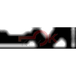 ERREBI - KS1PZ* - MULTIPROF. E PASS ESTERO - 05B-OTT