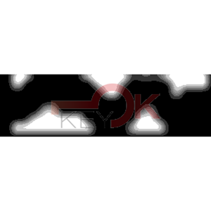 ERREBI - KS2002* - MULTIPROF. E PASS ESTERO - 05B-OTT