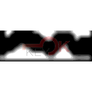 ERREBI - KS2006* - MULTIPROF. E PASS ESTERO - 05B-OTT