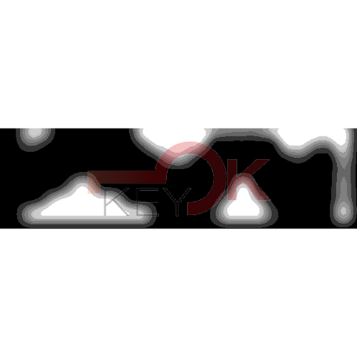 ERREBI - KS2009* - MULTIPROF. E PASS ESTERO - 05B-OTT