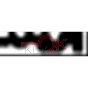 ERREBI - KS2047 - MULTIPROF. E PASS ESTERO - 05B-ACC