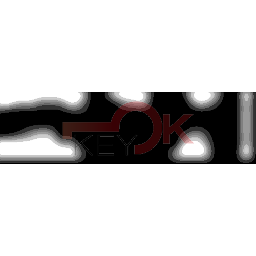 ERREBI - KS4* - MULTIPROF. E PASS ESTERO - 05B-OTT