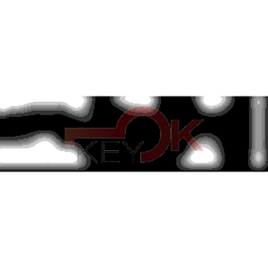 ERREBI - KS4L* - MULTIPROF. E PASS ESTERO - 05B-OTT