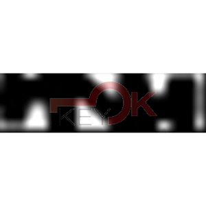 ERREBI - KS50* - SPECIALI ESTERO - 06B-OTT