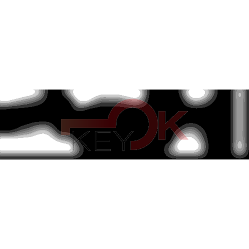 ERREBI - KS5L* - MULTIPROF. E PASS ESTERO - 05B-OTT