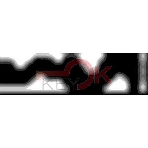 ERREBI - KS8PZ* - MULTIPROF. E PASS ESTERO - 05B-OTT