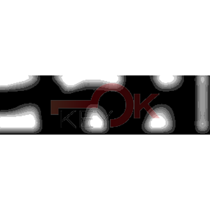 ERREBI - KSB19L* - MULTIPROF. E PASS ESTERO - 05B-OTT