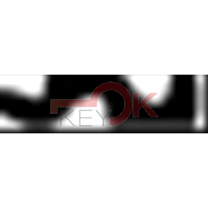 ERREBI - KSM5D - PROFILI ESTERO - 03A-ACC