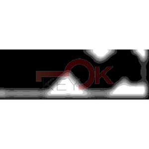 ERREBI - LA52* - MULTIPROF. E PASS ESTERO - 05B-OTT