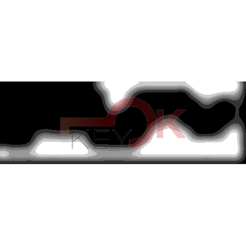 ERREBI - LA55* - MULTIPROF. E PASS ESTERO - 05B-OTT