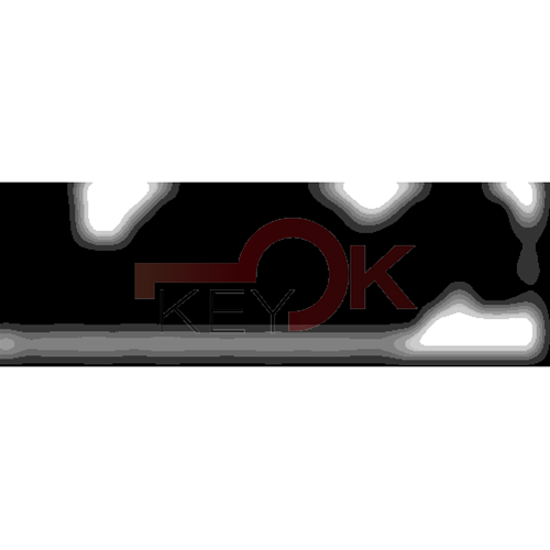 ERREBI - LA63* - MULTIPROF. E PASS ESTERO - 05B-OTT