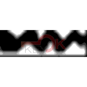 ERREBI - LO9* - MULTIPROF. E PASS ESTERO - 05B-OTT