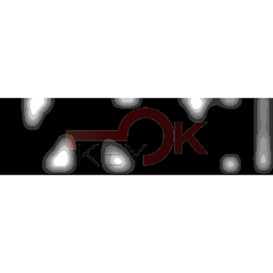 ERREBI - MEC1 - MULTIPROF. E PASS ESTERO - 05B-ACC