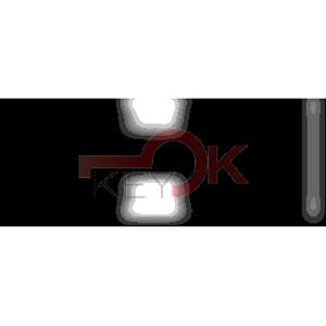 ERREBI - MZ22P113* - AUTO SPECIALI ACCIAIO-OTTONE TESTA PLAST. - 21B-OTT