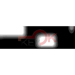 ERREBI - NE21P - PROFILI AUTO TESTA PLAST. - 20A-ACC