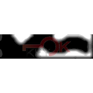 ERREBI - RU16R* - MULTIPROF. E PASS ESTERO - 05B-OTT