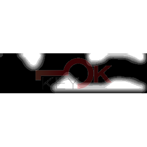 ERREBI - RU17R* - MULTIPROF. E PASS ESTERO - 05B-OTT