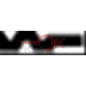 ERREBI - CO16R* - GAMMA DI SERVIZIO ESTERO (03S-OTT)