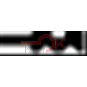 ERREBI - CO39R* - GAMMA DI SERVIZIO ESTERO - 03S-OTT