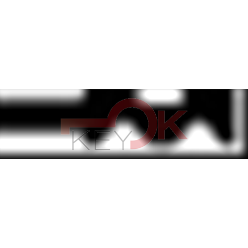 ERREBI - CO49R* - GAMMA DI SERVIZIO ESTERO - 03S-OTT