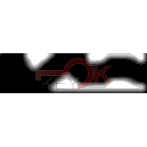 ERREBI - RU18R* - MULTIPROF. E PASS ESTERO - 05B-OTT