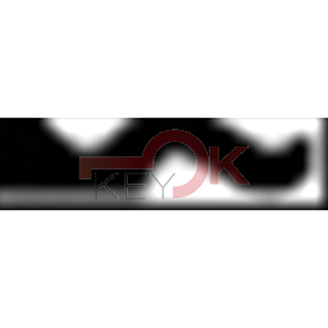 ERREBI - CV5SN - GAMMA DI SERVIZIO ESTERO - 03A-ACC